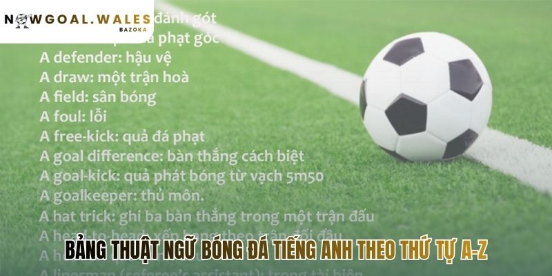 Bảng thuật ngữ bóng đá cho người mới bắt đầu tra cứu nhanh