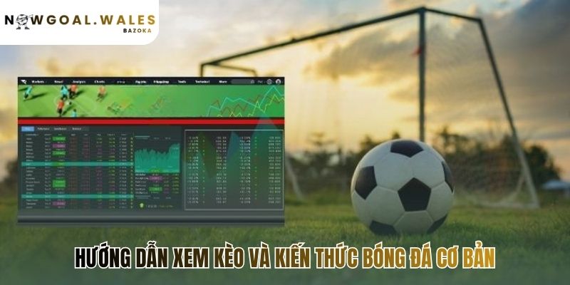 Hướng dẫn xem kèo giải thích thuật ngữ bóng đá đơn giản