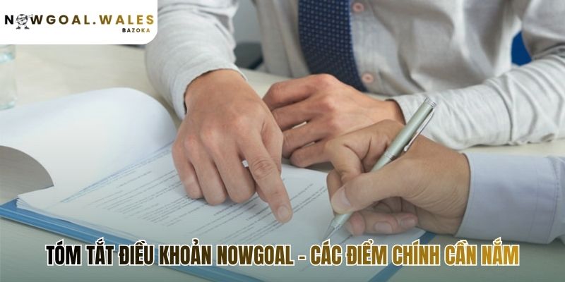 Tóm tắt điều khoản điều kiện tổng hợp các quy định quan trọng nhất